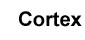 Plus d'information sur Cortex