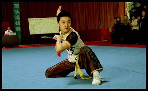 Wushu