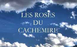 Les roses de Cachemire