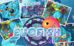 Evofish