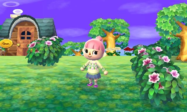 Animal-Crossing-New-Leaf1