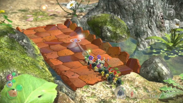 pikmin-3-wii-u-2