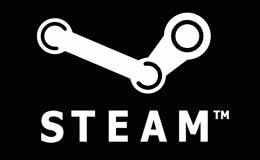 Steam