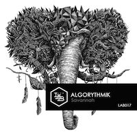 Algorythmik-Savannah-couv