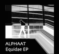 Equidae-jaq