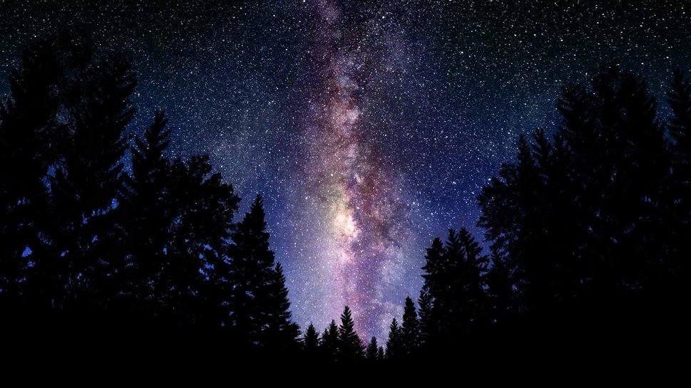 690928__milky-way-forest-tree-sky-galaxy_p