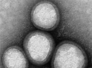 nanoparticule_entouree_de_plaquettes