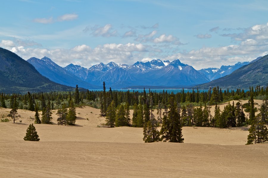 carcross_desert_by_wuzzyfuzzybunny-d4u9u7l